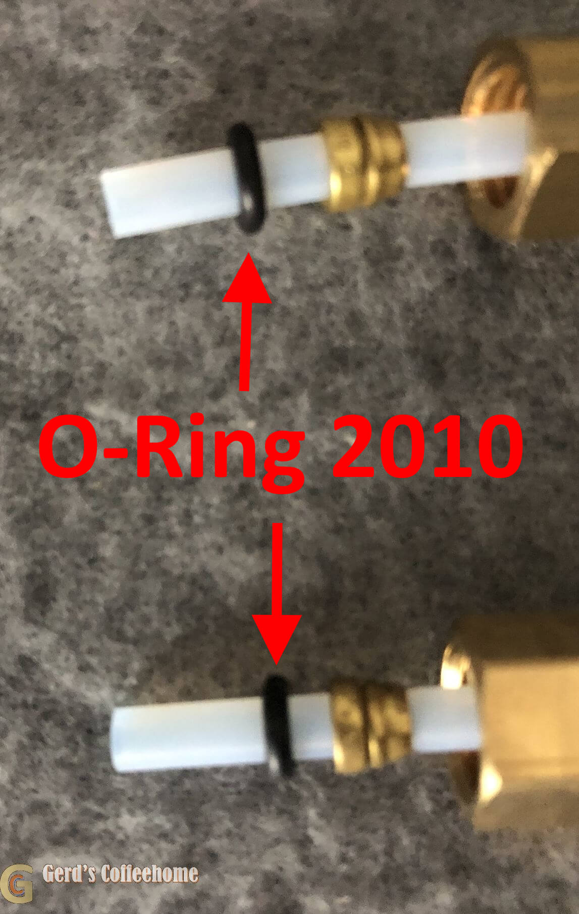 O-Ring 2010