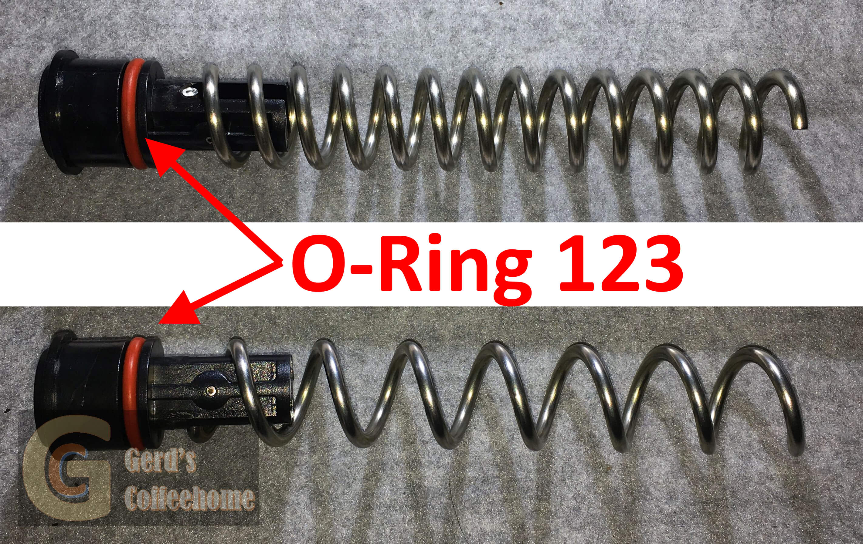 GUA0000083-1 O-Ring 123